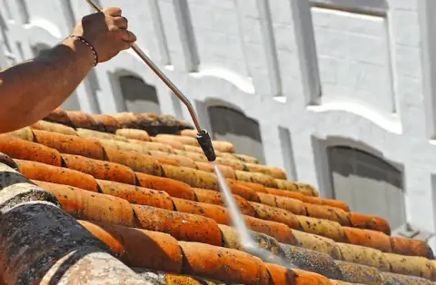 Nettoyage de toitures - Chevilly-Larue